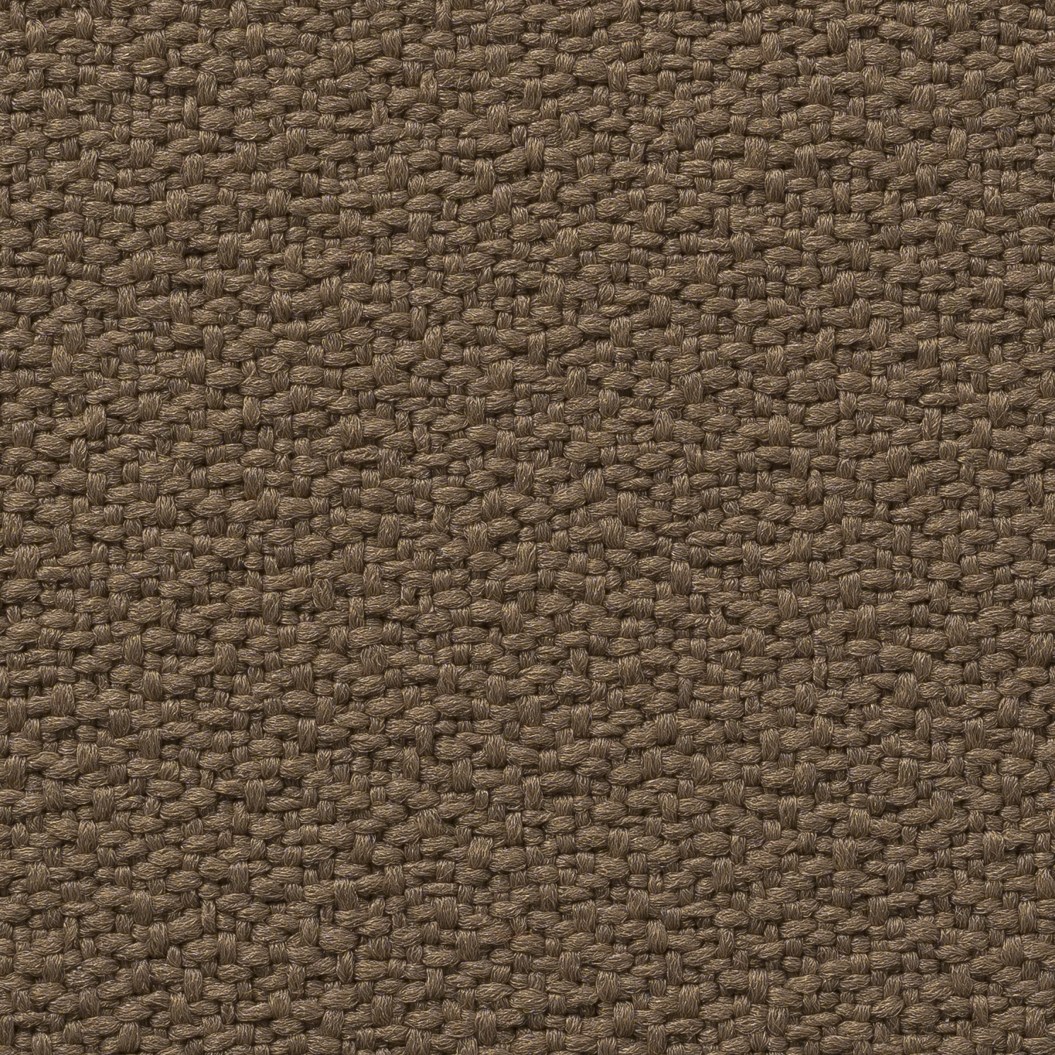 Caribou