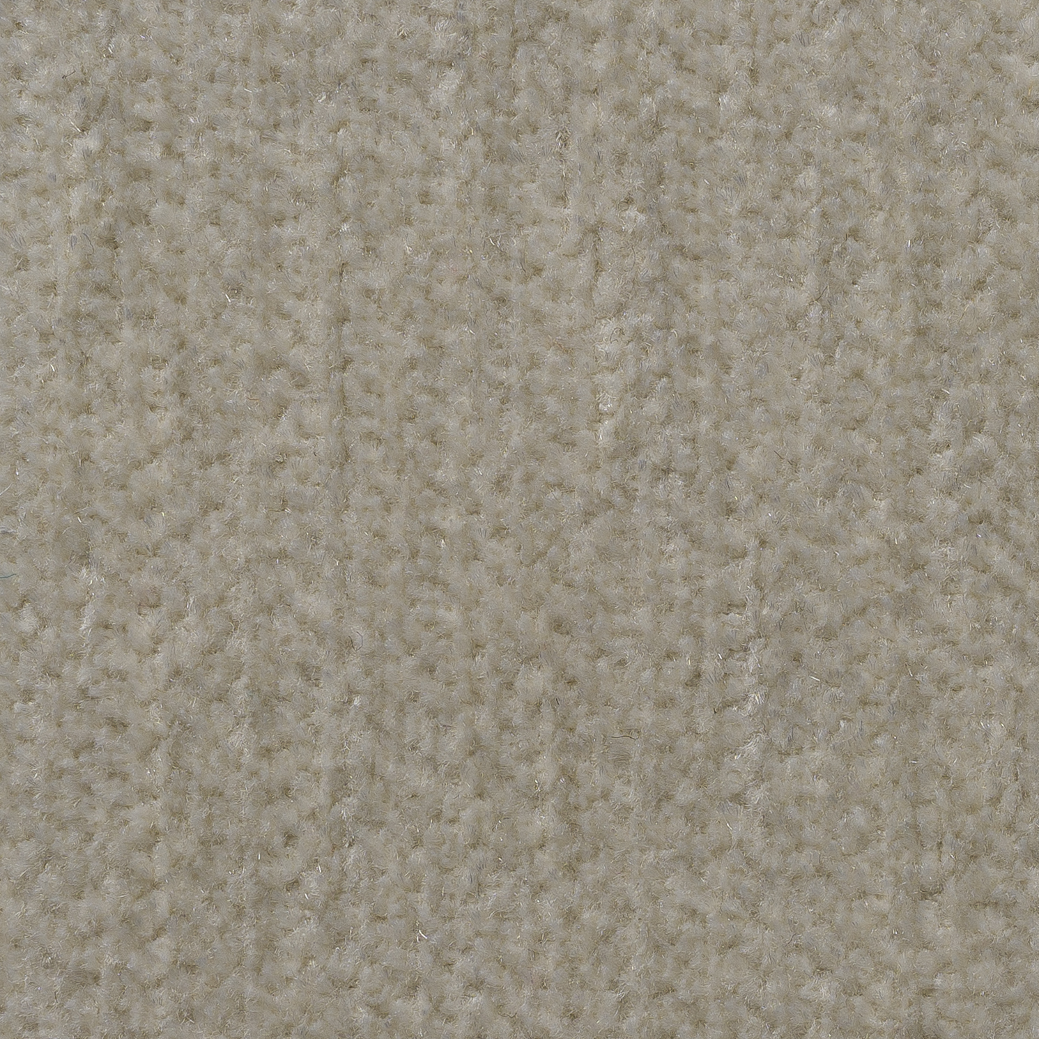 Alpaca